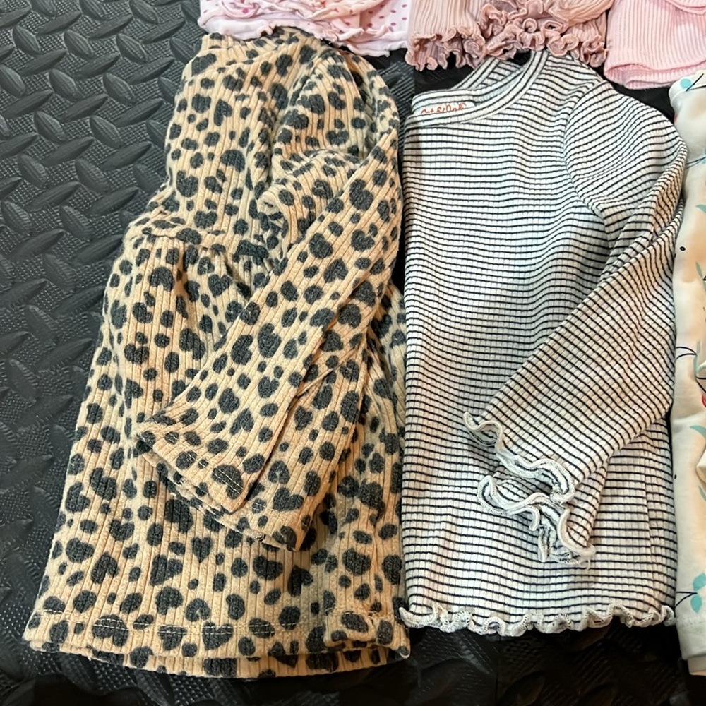 Bundle of Long Sleeve Toddler Tops - Picture 2 of 13